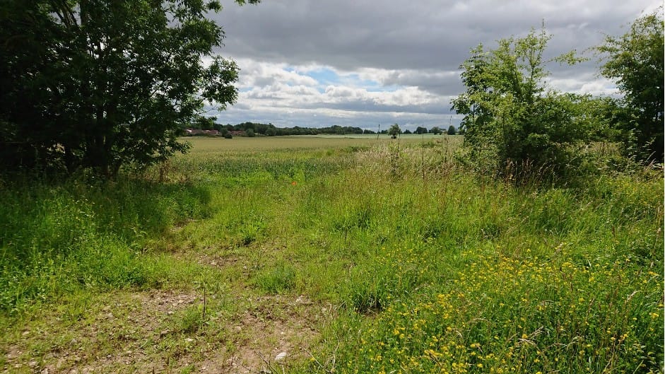 Multi-stage engagement underpins Homes England's reserved matters application in Ripon